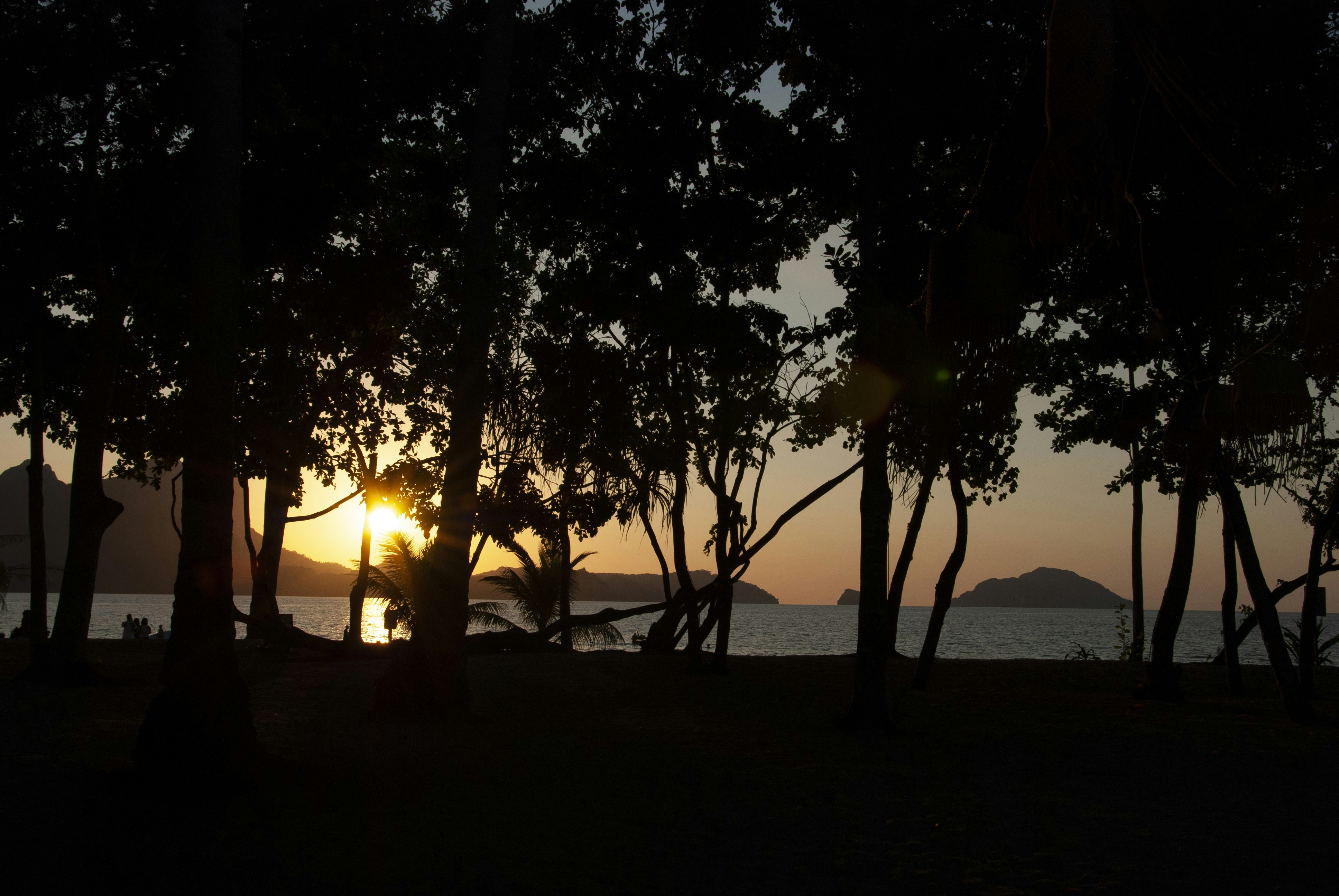 Photo by madalina1116