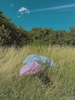 Two plastic bags, one light blue and the other pink, are caught in tall grass. The grass is long and unkempt, surrounded by dense green bushes and under a clear blue sky with a single white cloud.