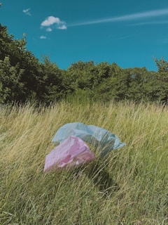 Two plastic bags, one light blue and the other pink, are caught in tall grass. The grass is long and unkempt, surrounded by dense green bushes and under a clear blue sky with a single white cloud.