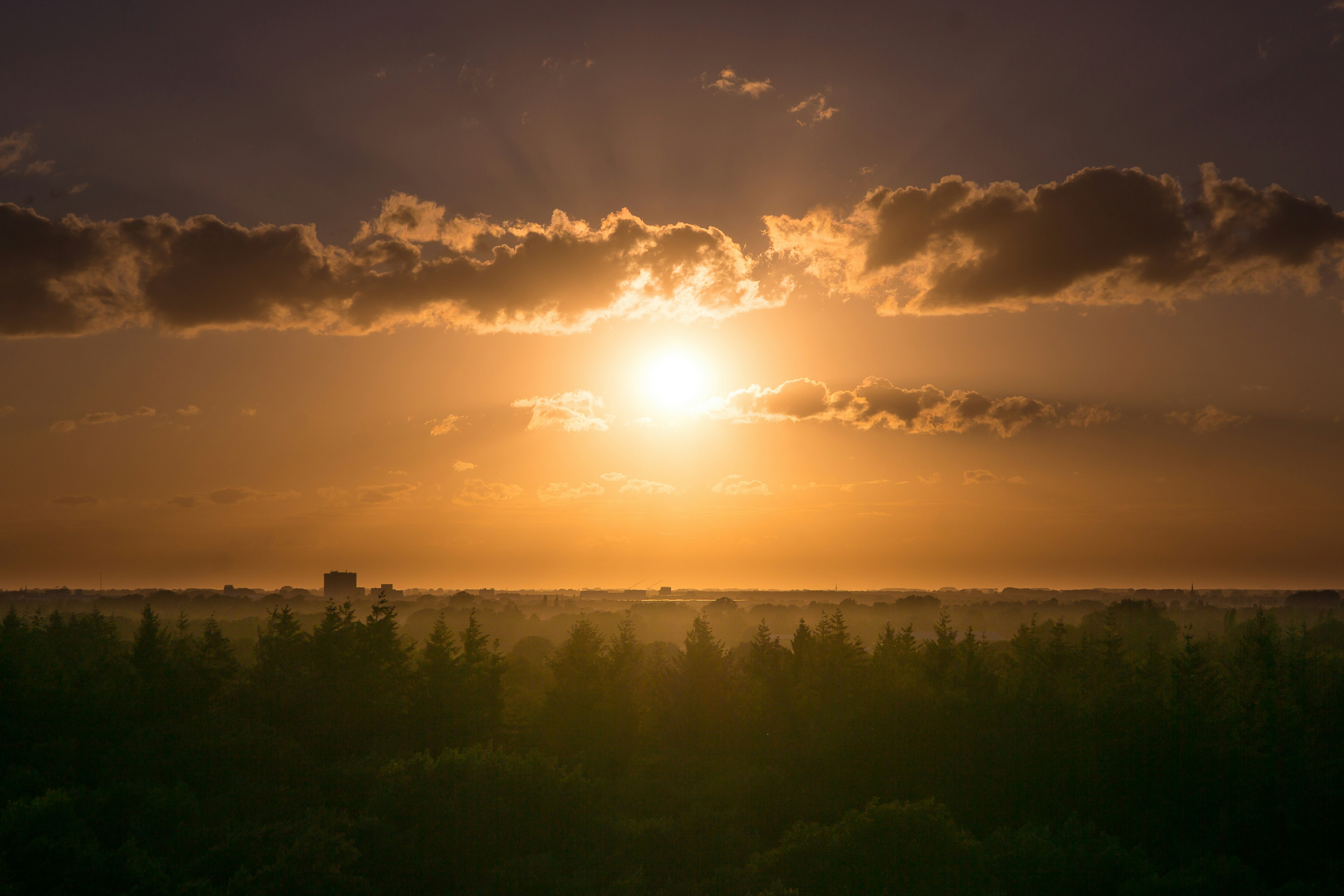 Photo by joranquinten