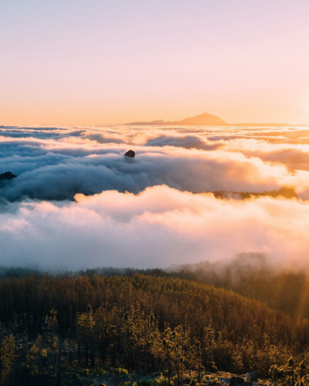 the sun shines through the clouds over a forest