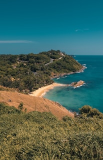 grass covered island during day