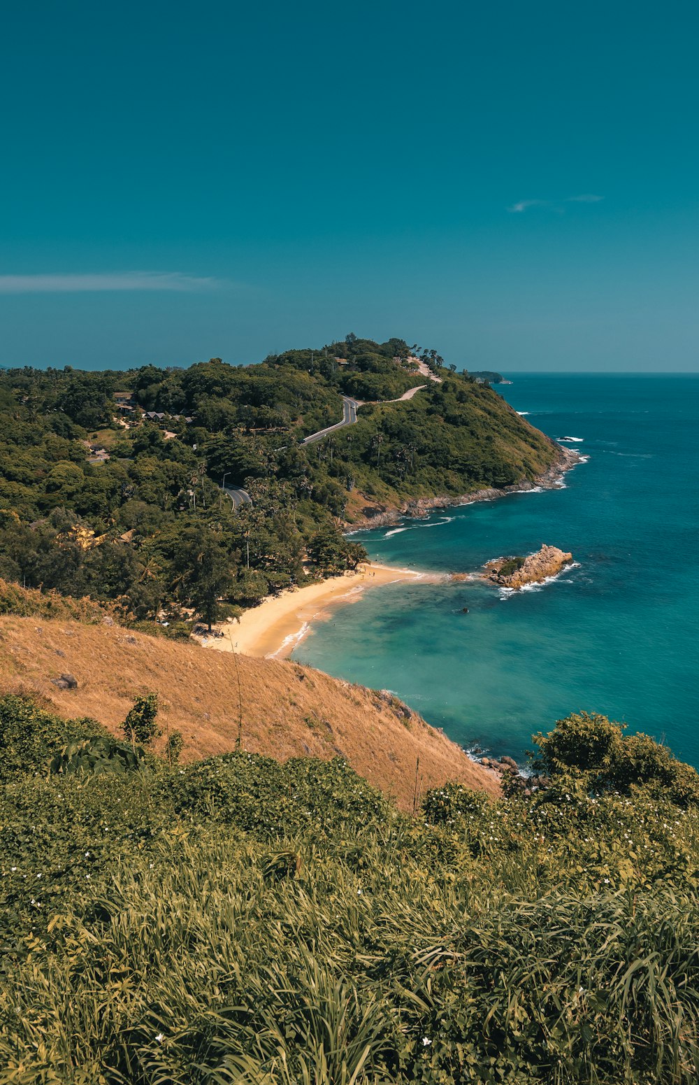 Isla cubierta de hierba durante el día