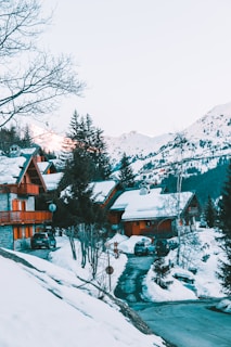 taxi meribel geneve snow covered houses and trees