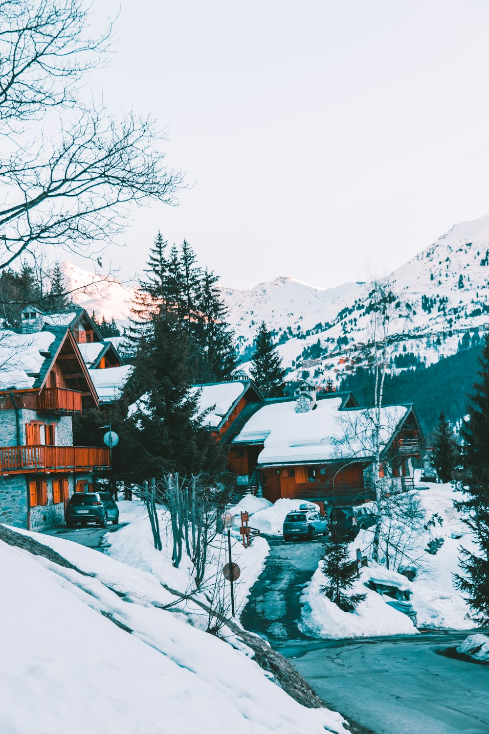 snow covered houses and trees