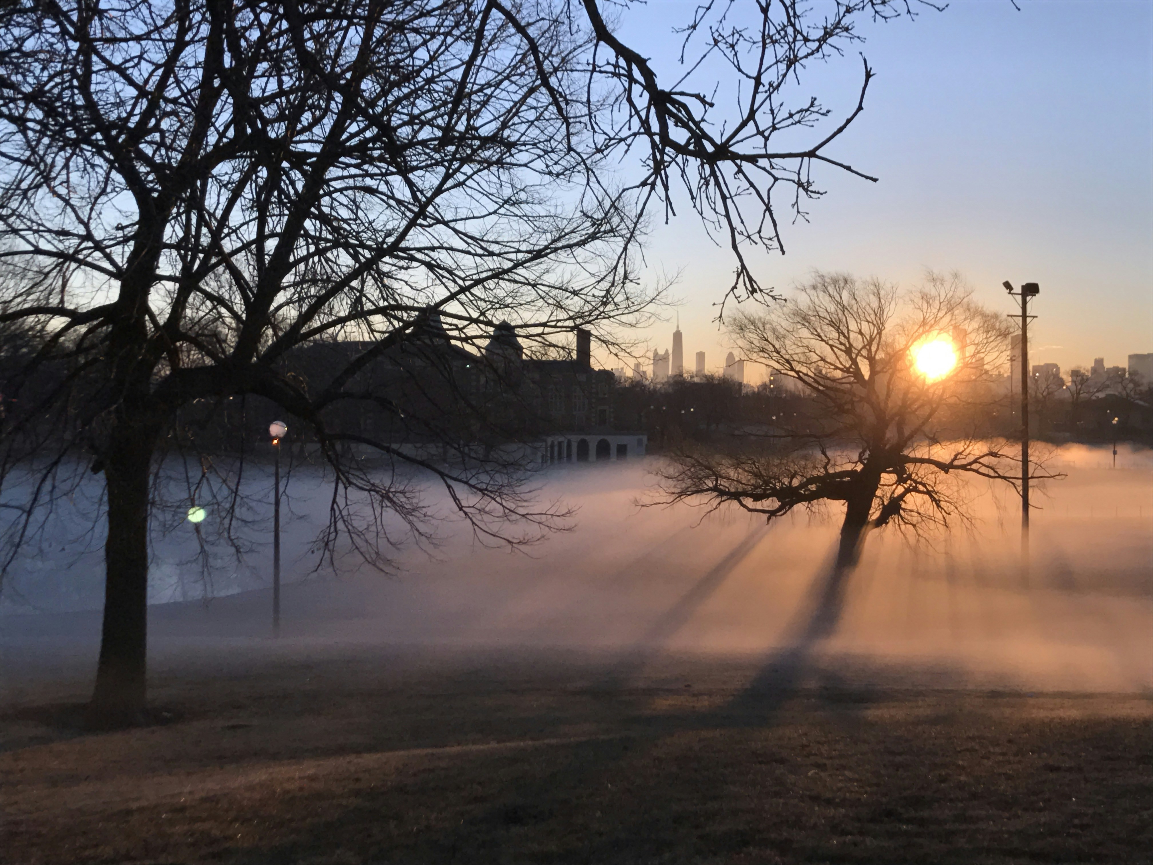 One morning after being laid-off, I woke up mysteriously early and went for a walk in the park. I thankfully was greet by the mist of the morning (it was February) and thought maybe this new iPhone I just bought could capture this. 