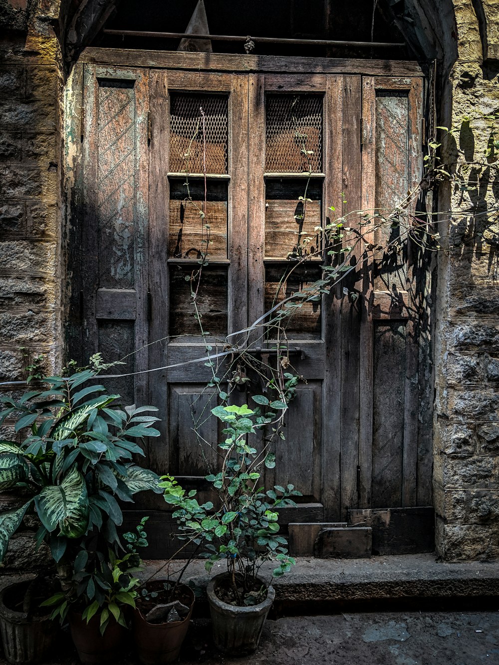 closed brown wooden doors