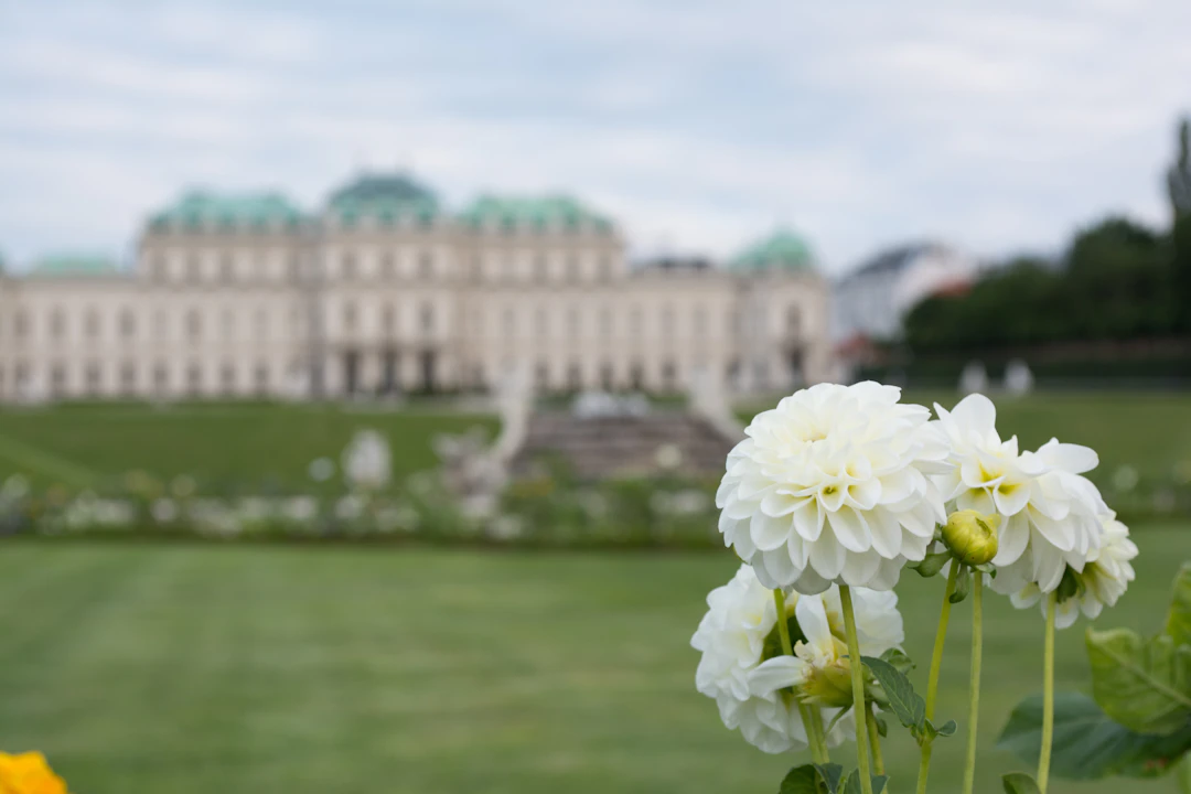 4-Day Austria Family Itinerary: Vienna to Salzburg Guide