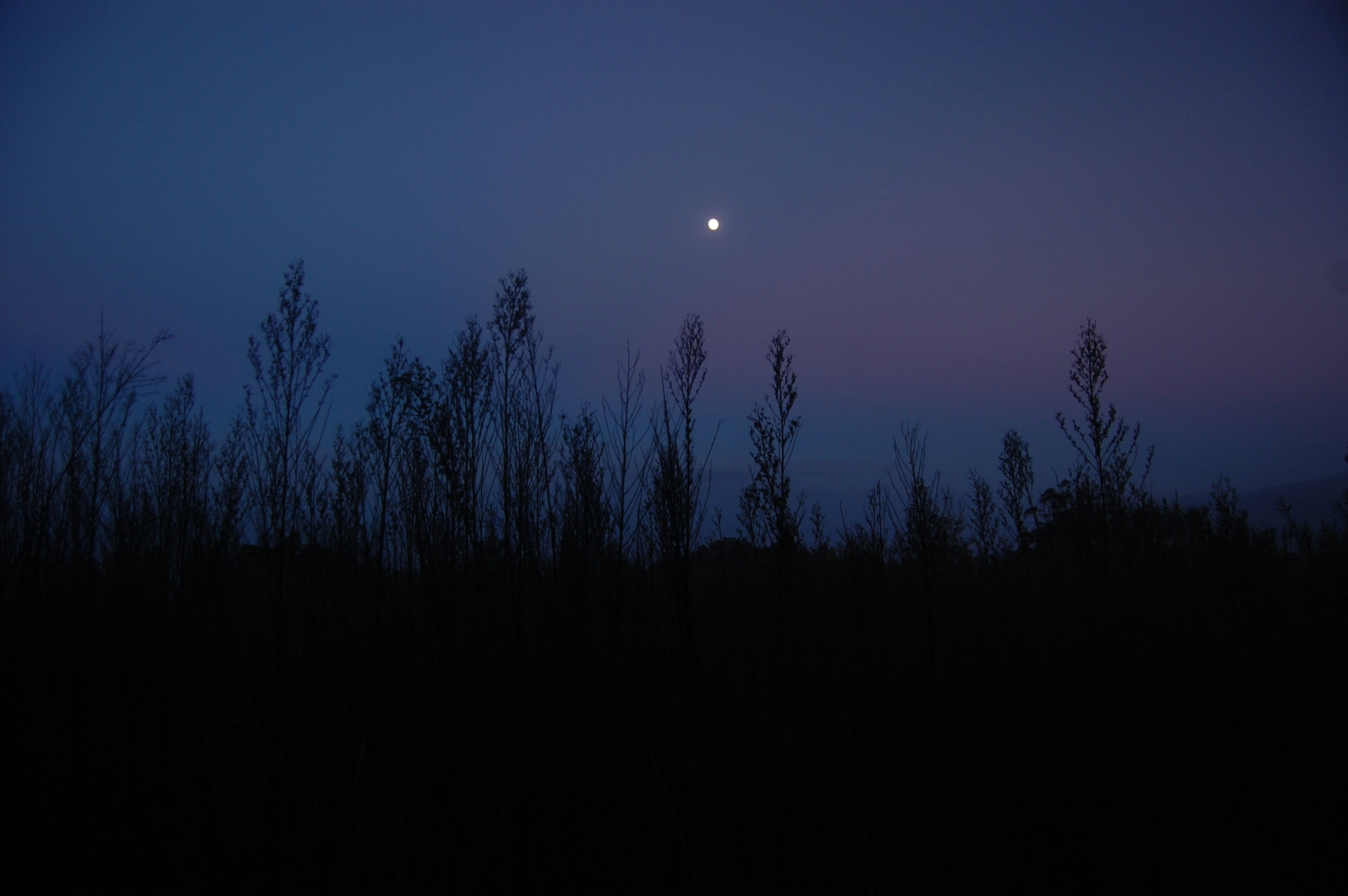 Photo by tatidesigner