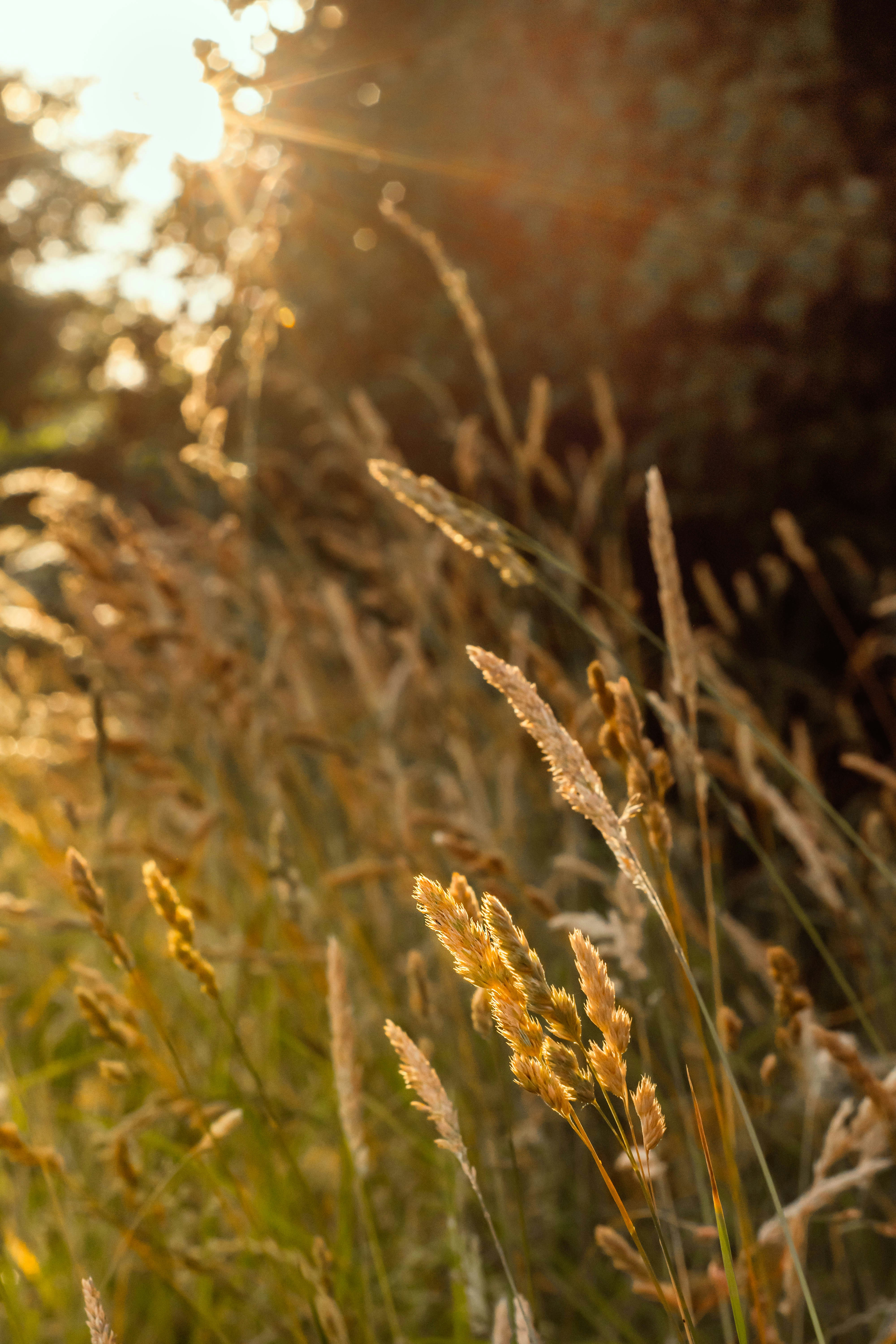 Photo by valthewizard