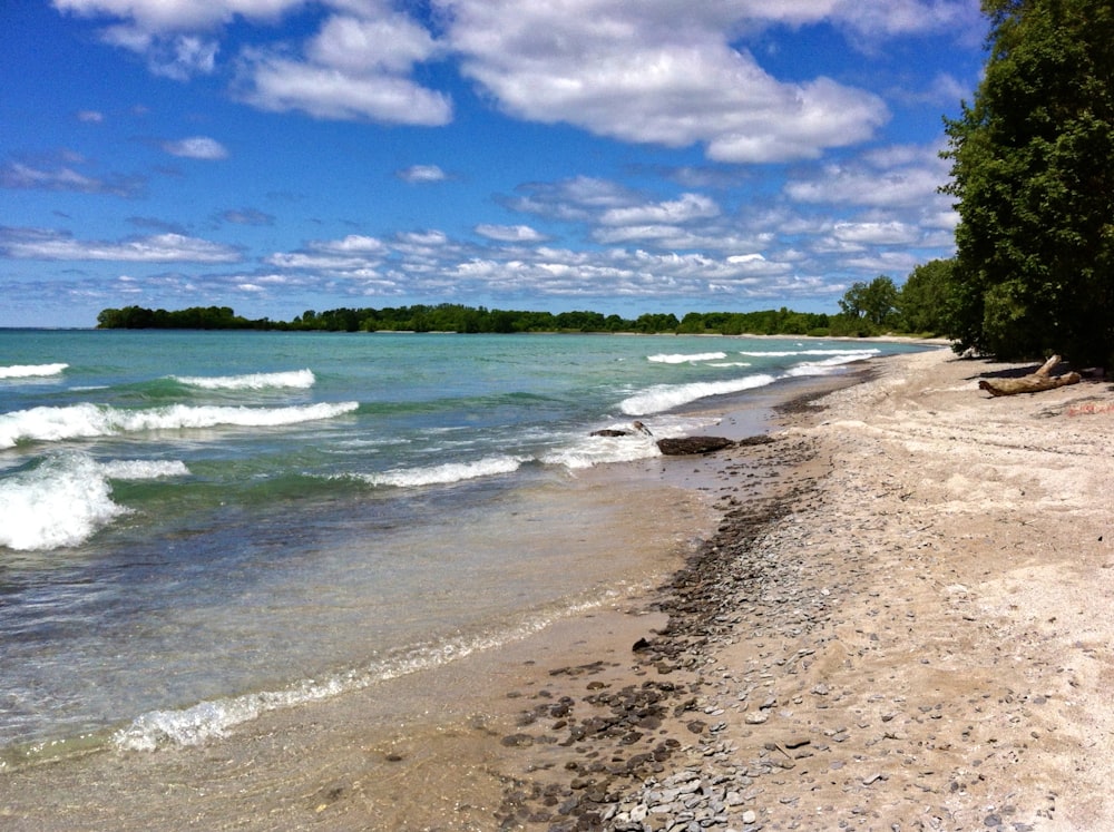 seashore during daytime