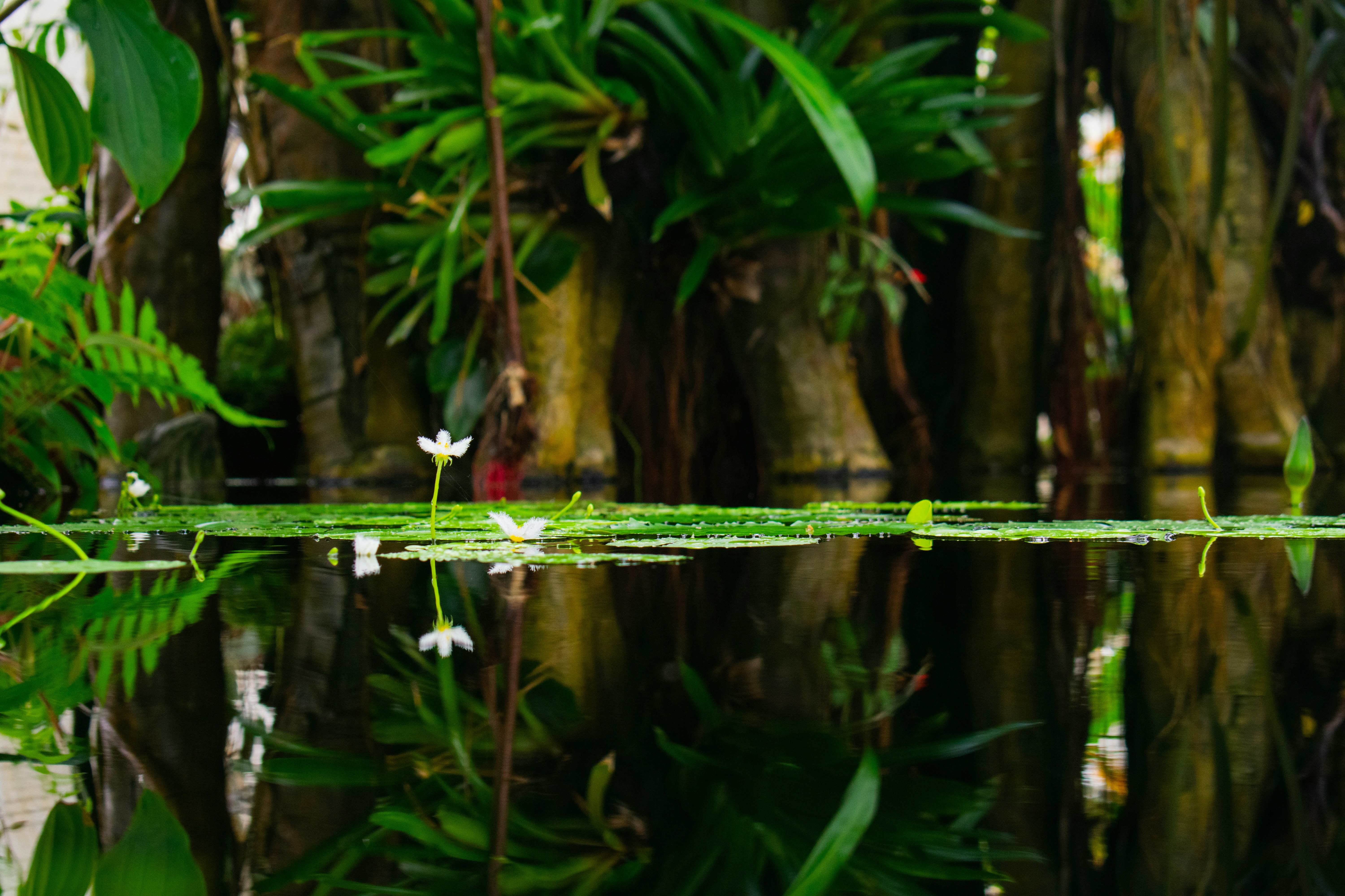 Photo by eduardov1227