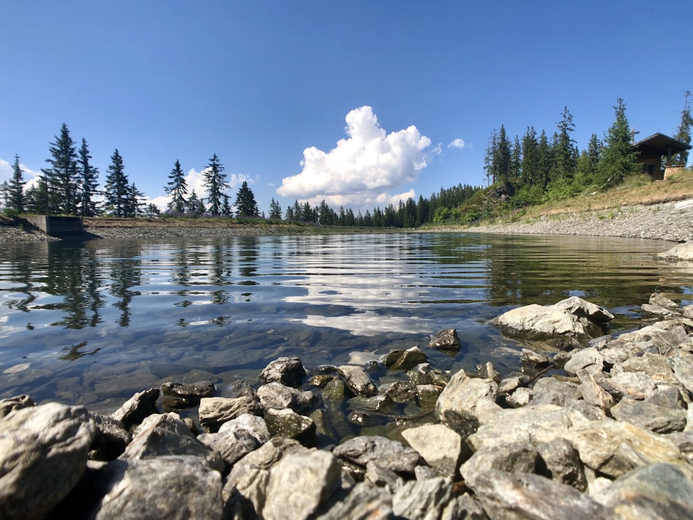 rocks in body of water