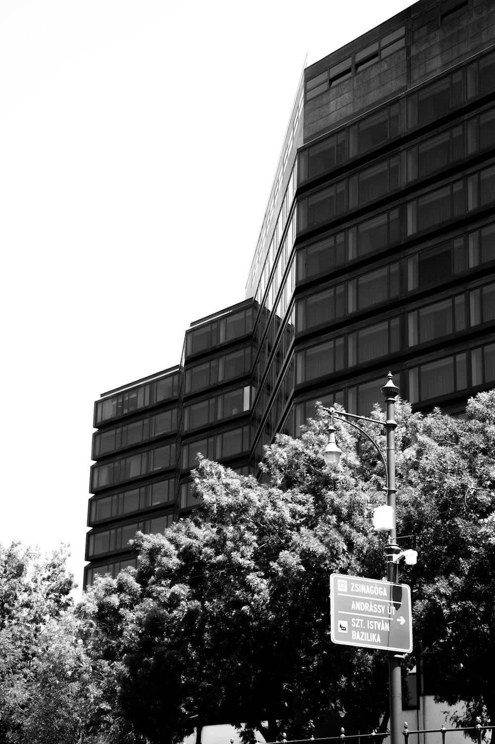 grayscale photography of building near trees