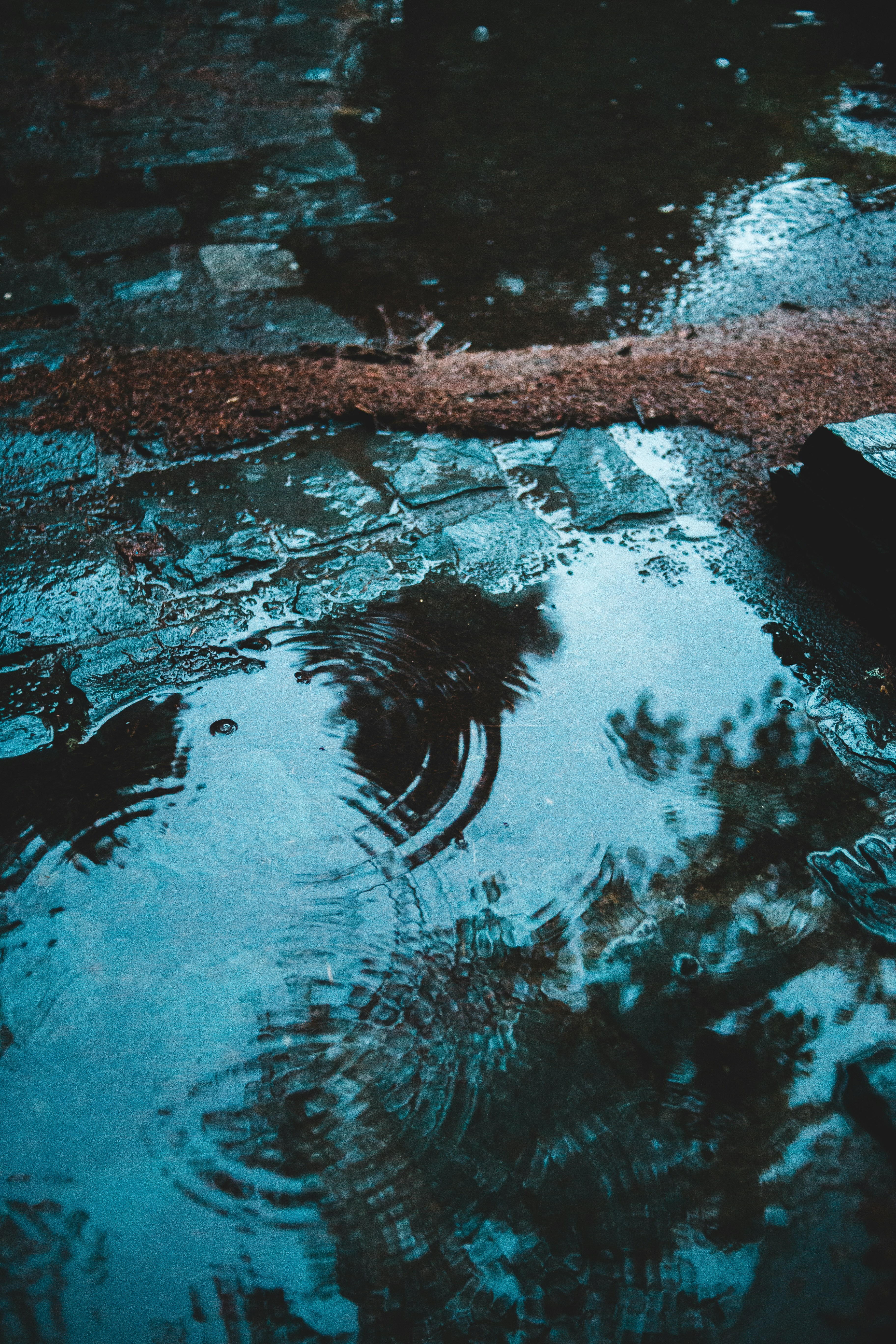 Photo by introspectivedsgn