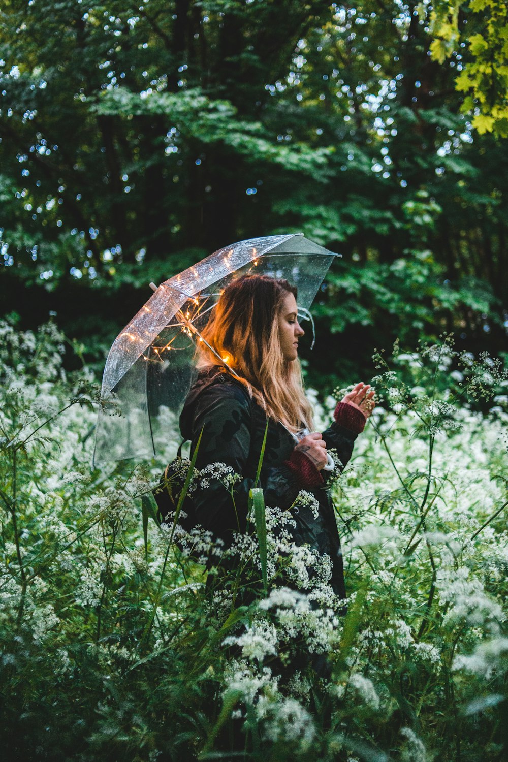 mulher vestindo jaqueta preta segurando guarda-chuva ao lado de plantas verdes durante o dia