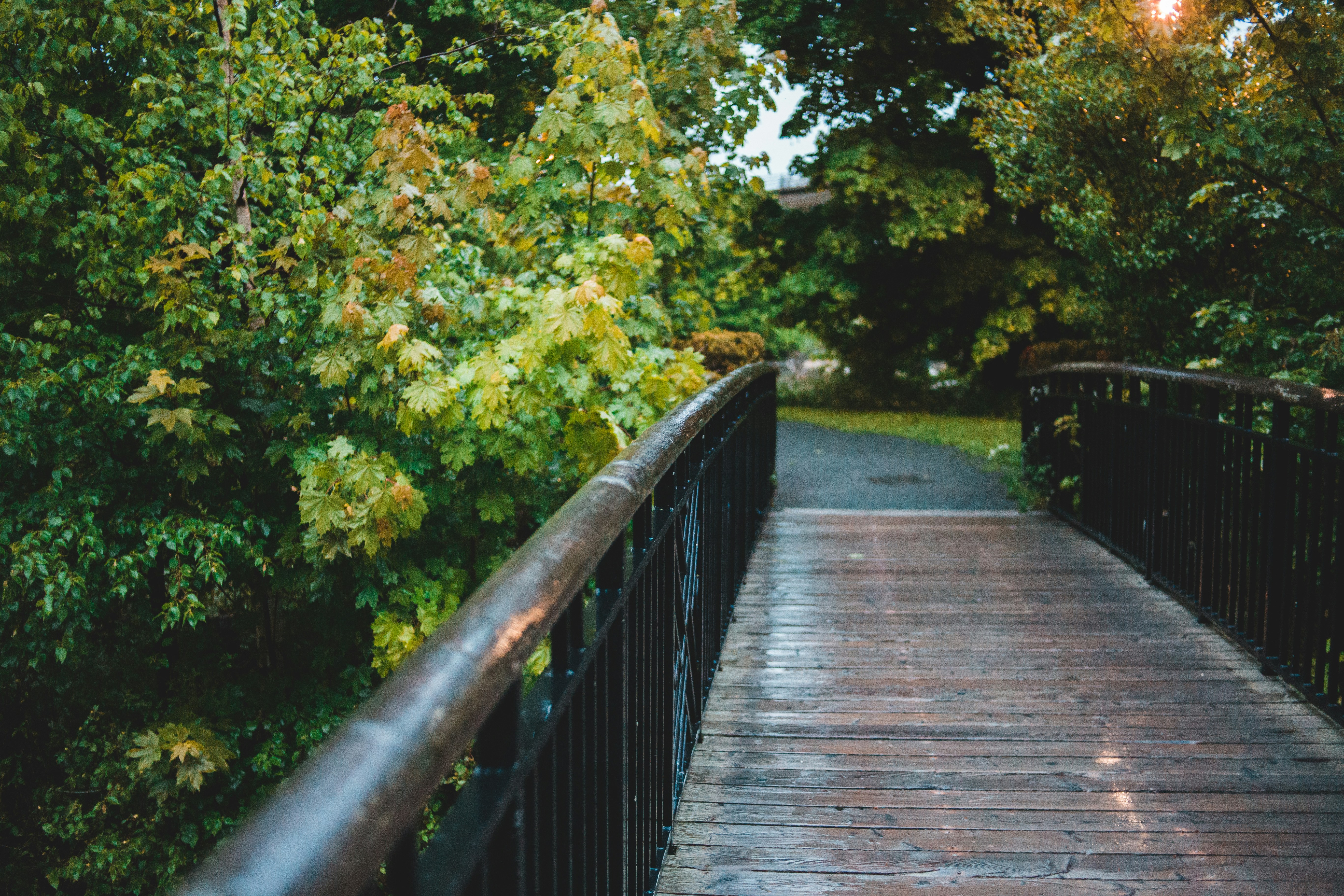 Photo by introspectivedsgn