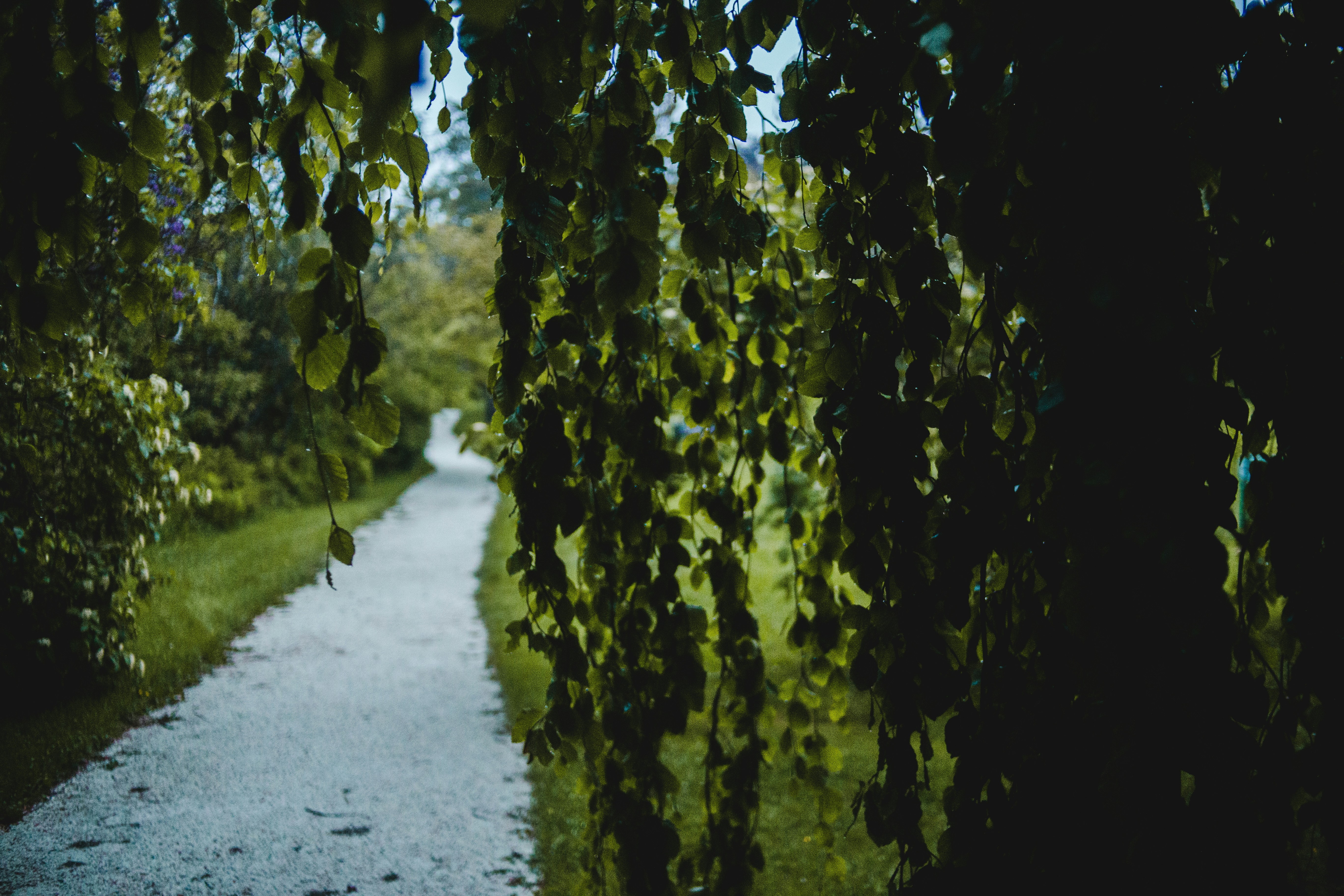 Photo by introspectivedsgn