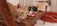 An orange tabby cat with a red and green collar is perched attentively on a wooden bench, while a second cat with a mix of black, white, and brown fur rests on a cushion behind it. The scene is indoors, with soft focus on the background, suggesting a cozy and relaxed setting.
