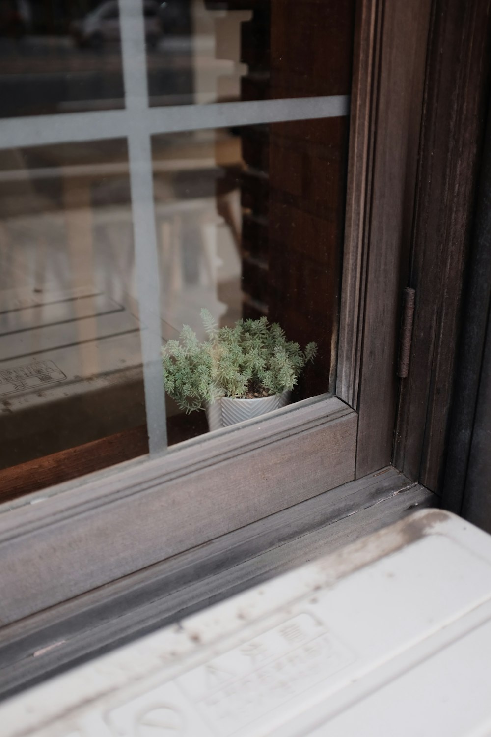 flower pot beside closed window during daytime