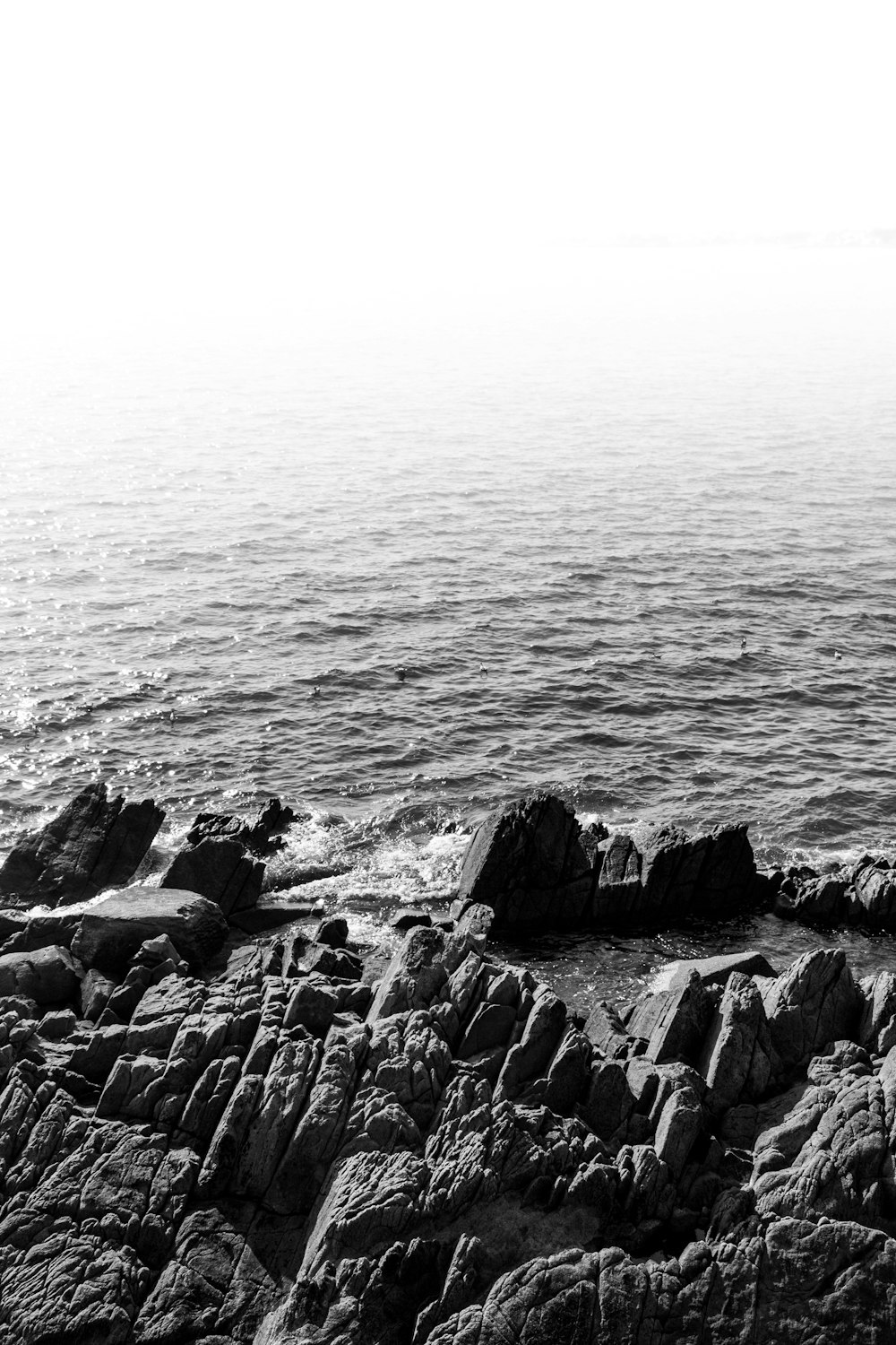 grayscale photography of sea and rocks