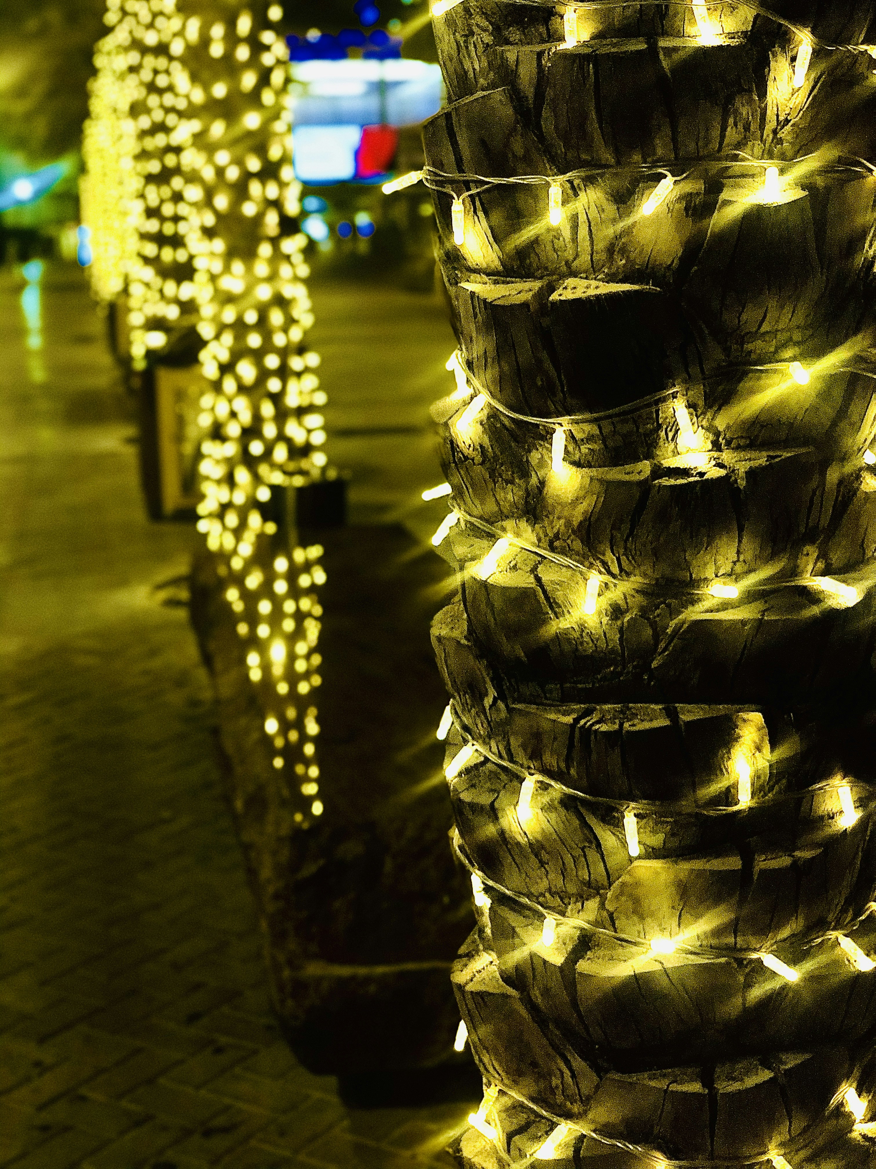 Photo by jasonpmiranda