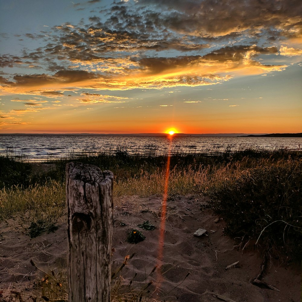 sea during golden hour