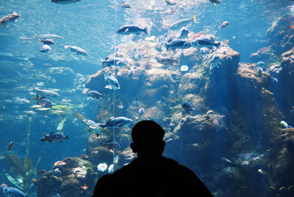 man standing in front of a big aquarium
