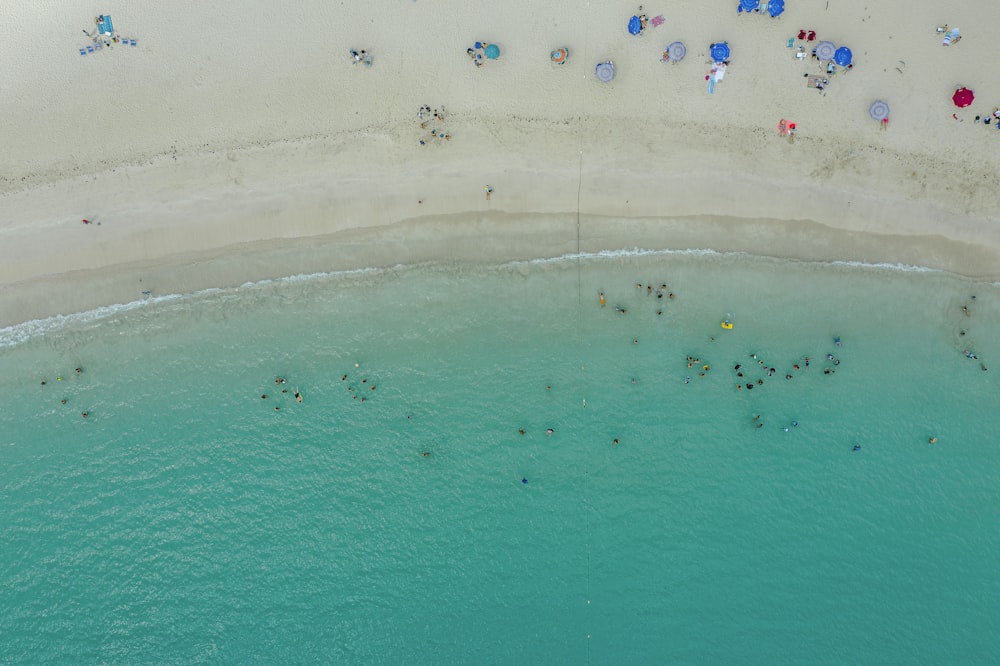 aerial photo of seashore during daytime