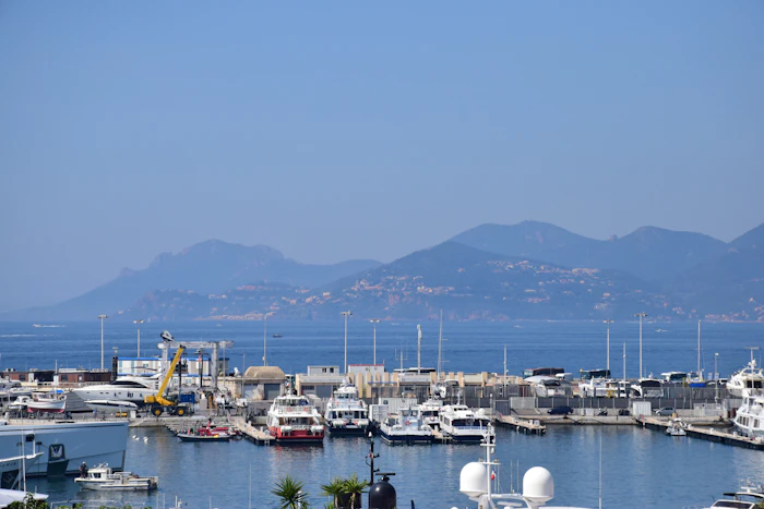 Boats docked at a marina