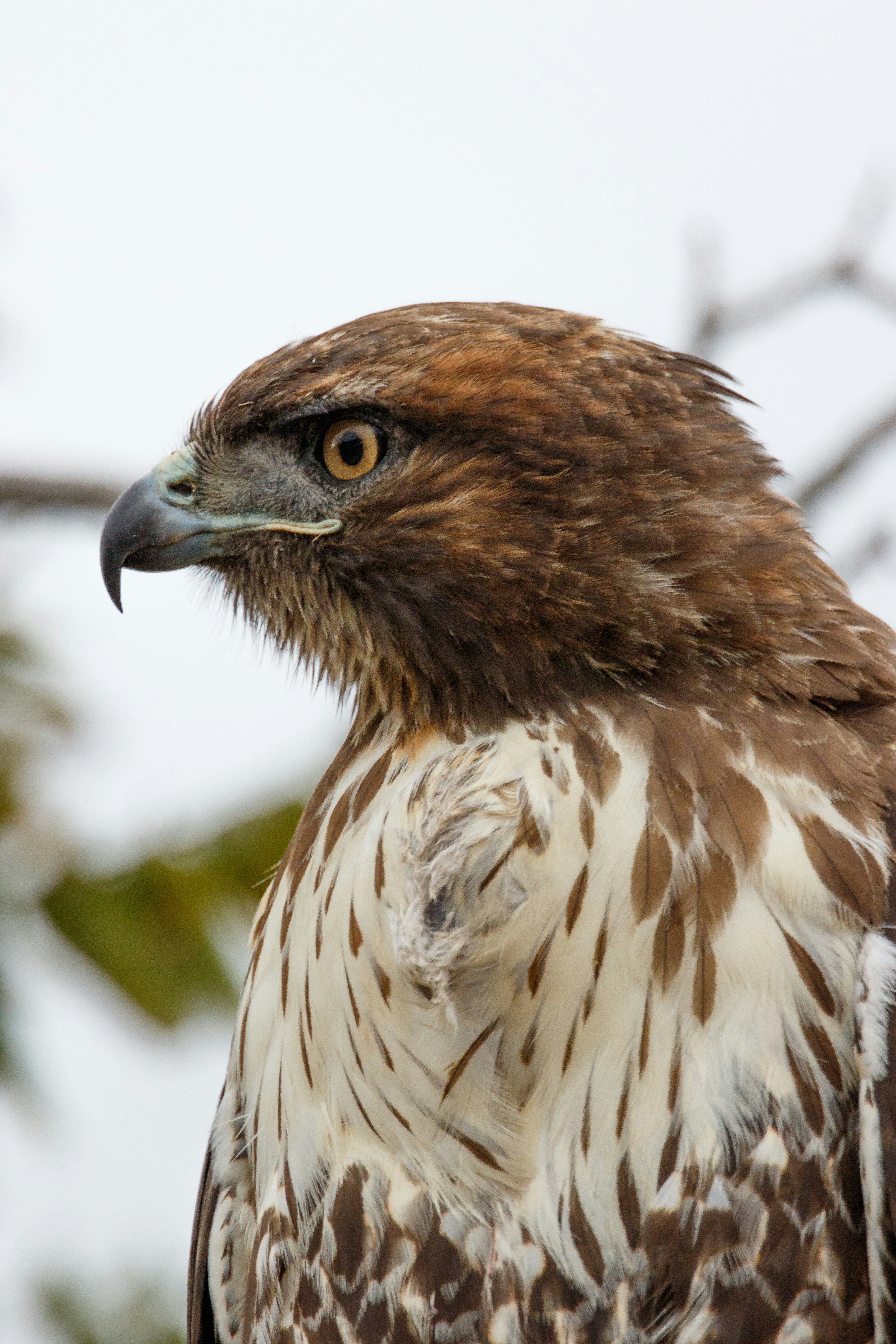 Photo by tuninglever