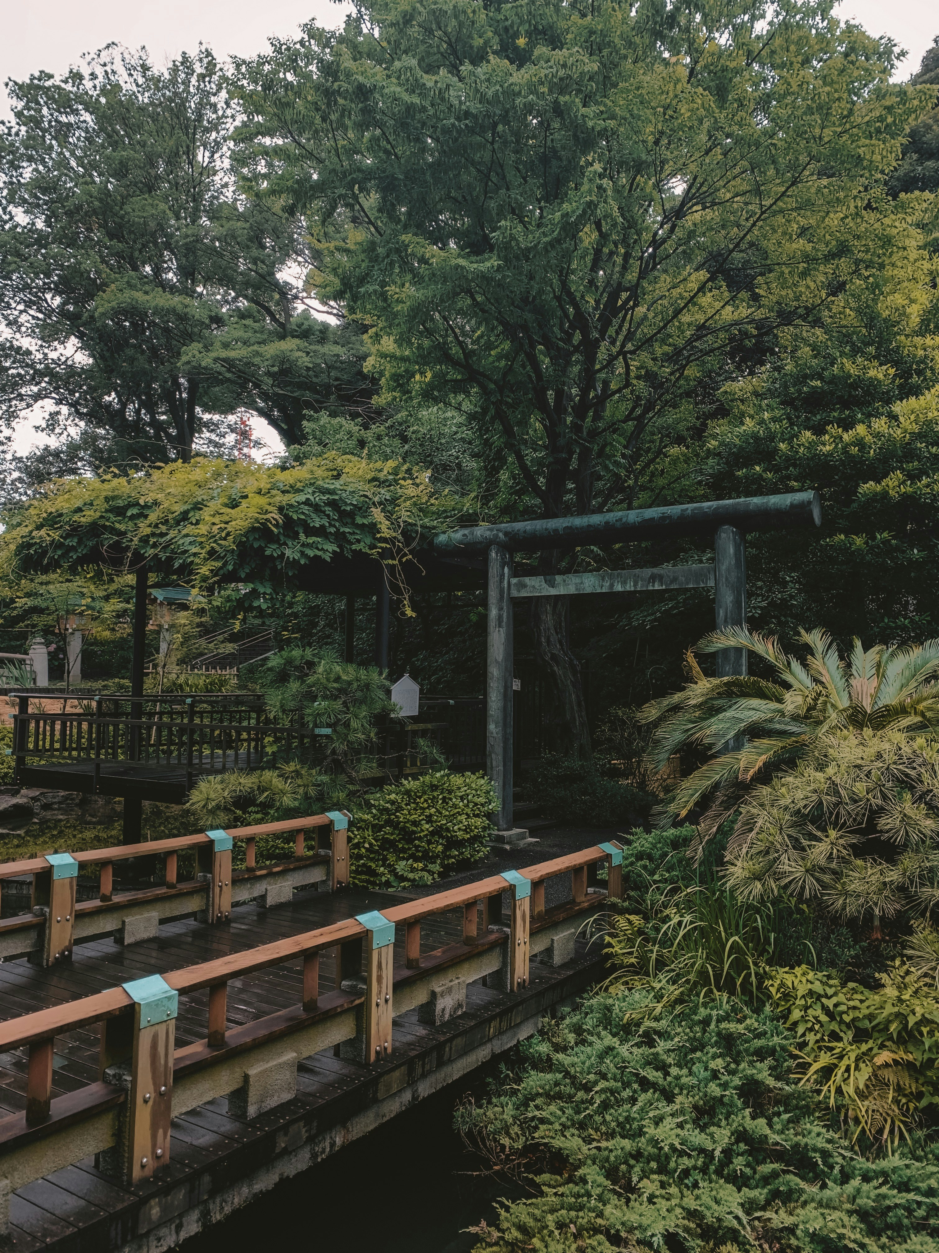 Photo by charlotablunarova