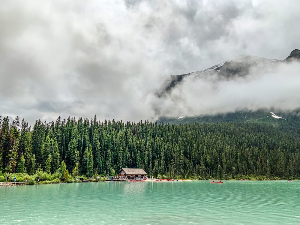 casa vicino agli alberi e allo specchio d'acqua