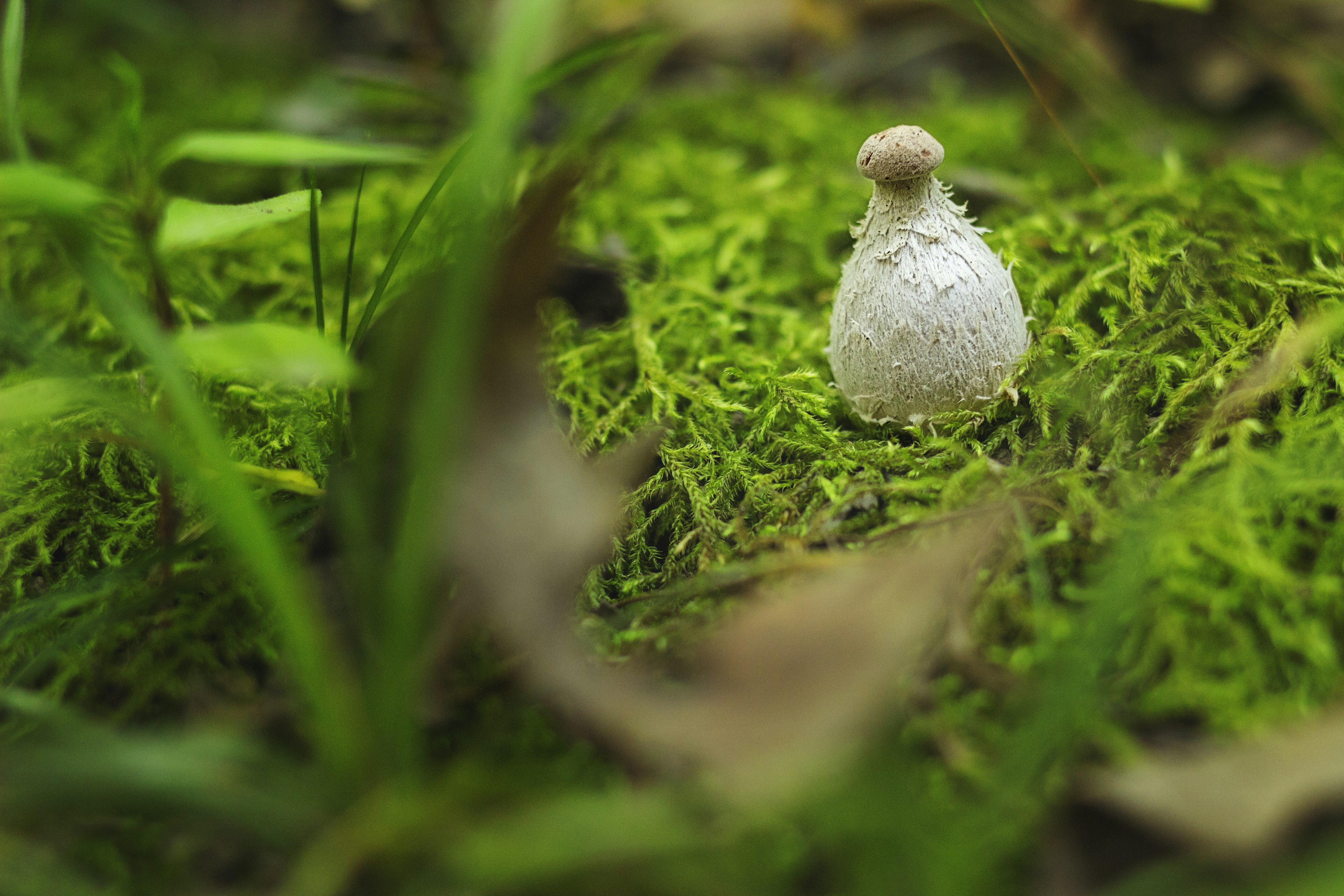 Photo by spring_fed_images