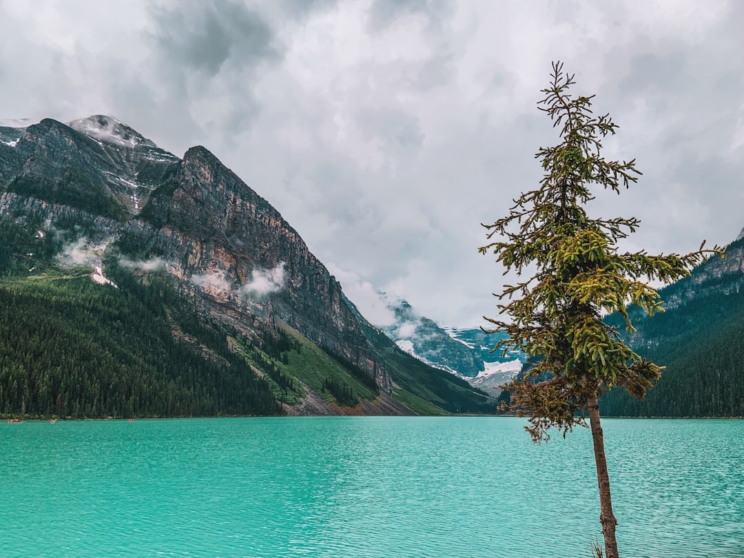 Glacial lake photo spot Lake Louise Lakeshore Trail Emerald Lake Lodge