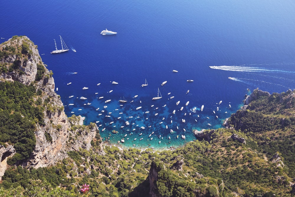 aerial view of sailboats on shore during daytime