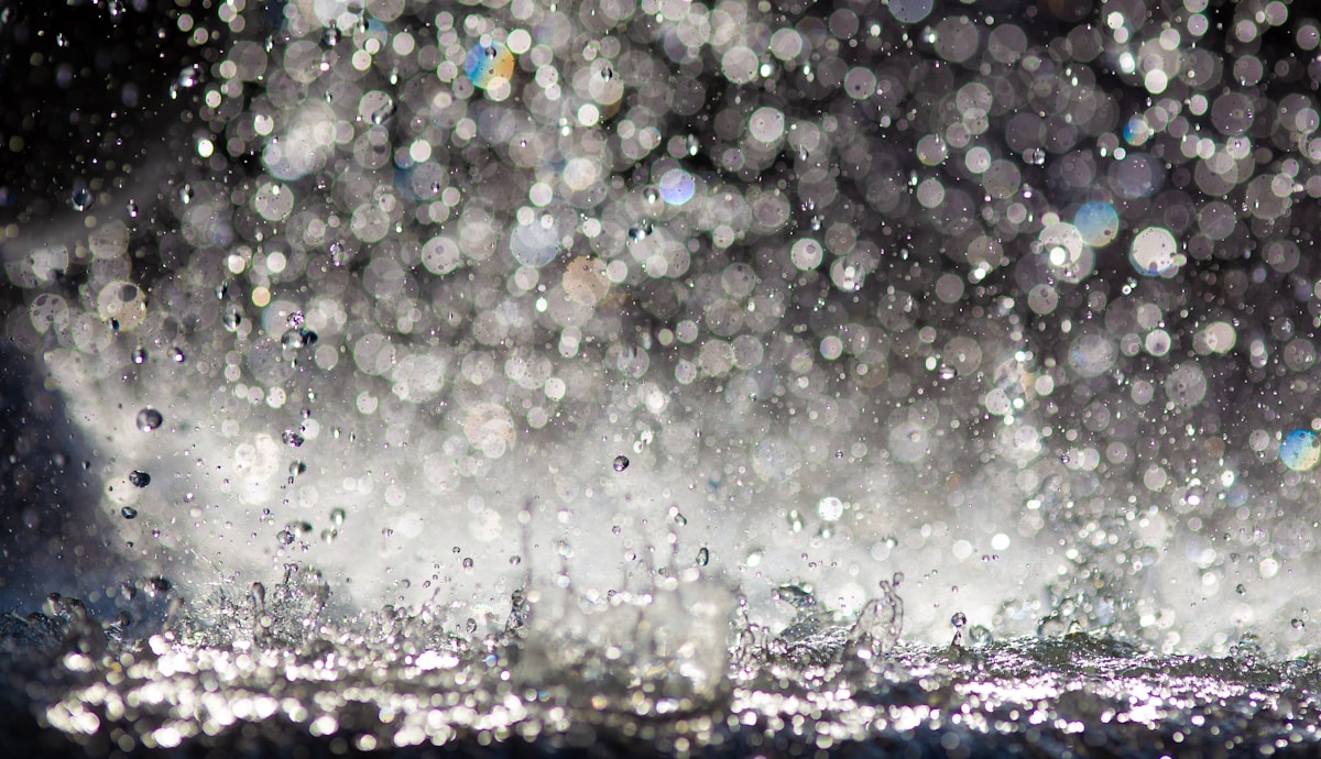 The Hard Rain