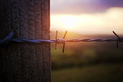 Close-up of sharp concertina wire installed on a fence at sunset.