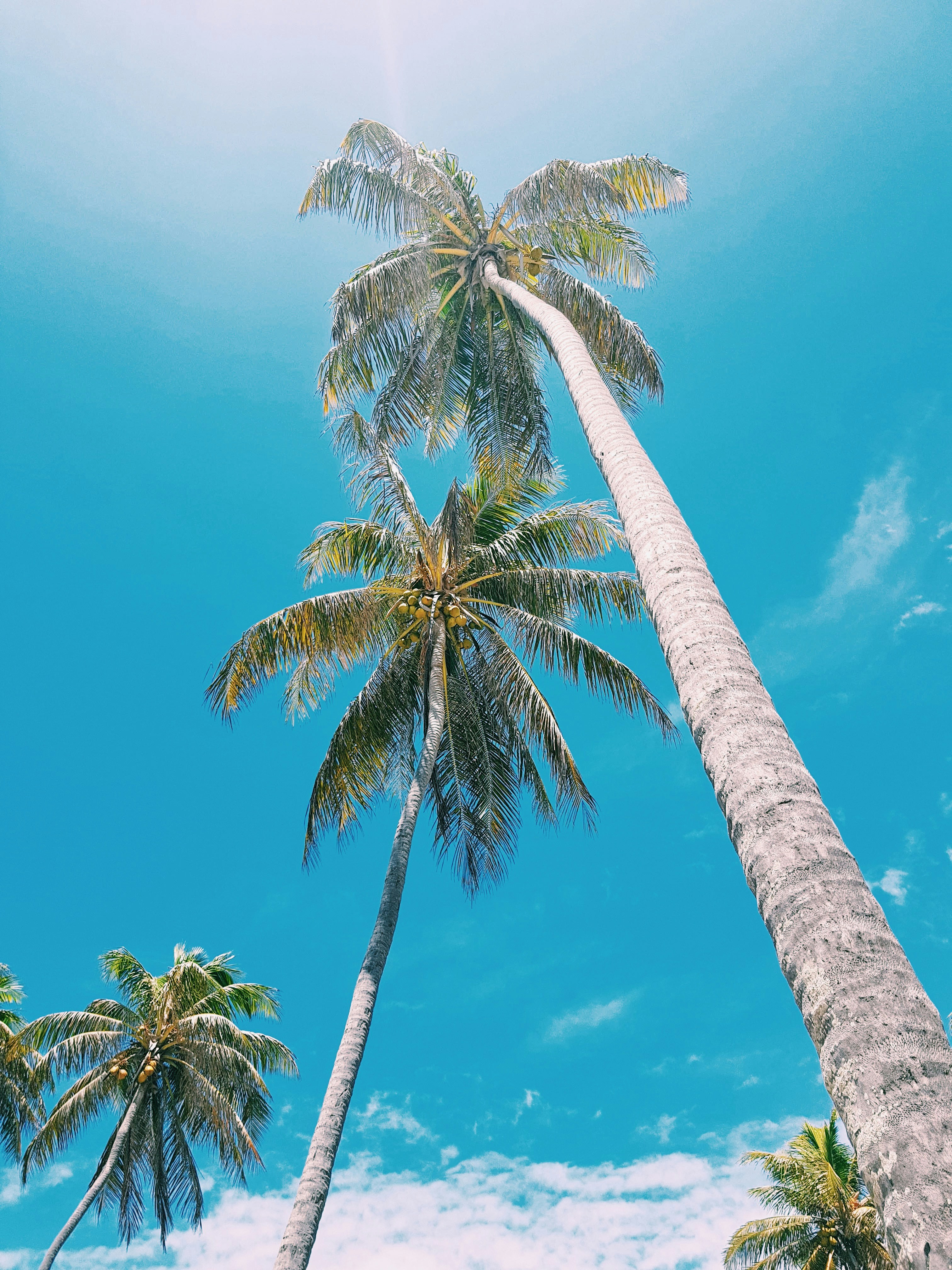 Photo by peter_chaves