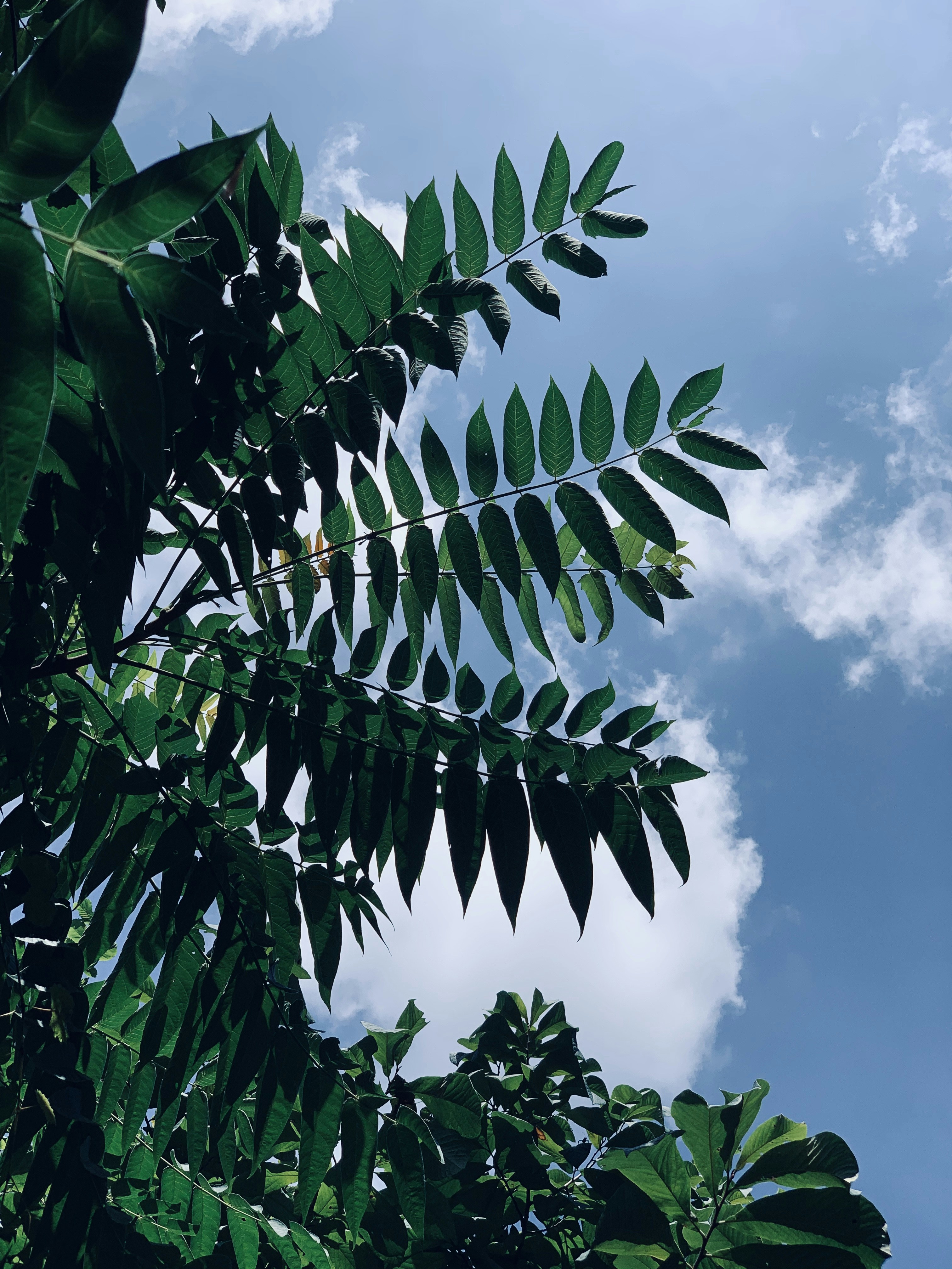 Photo by taylor_smith