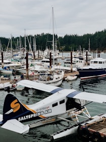 plane and boats on dock