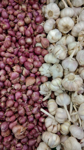 Fresh Garlic