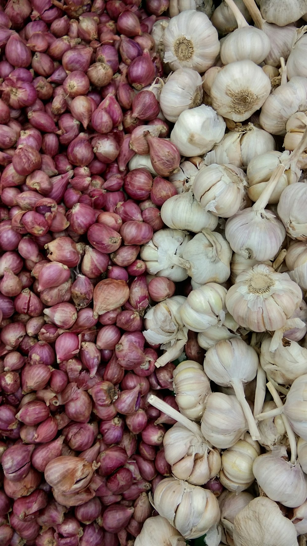 a pile of garlic sitting next to each other
