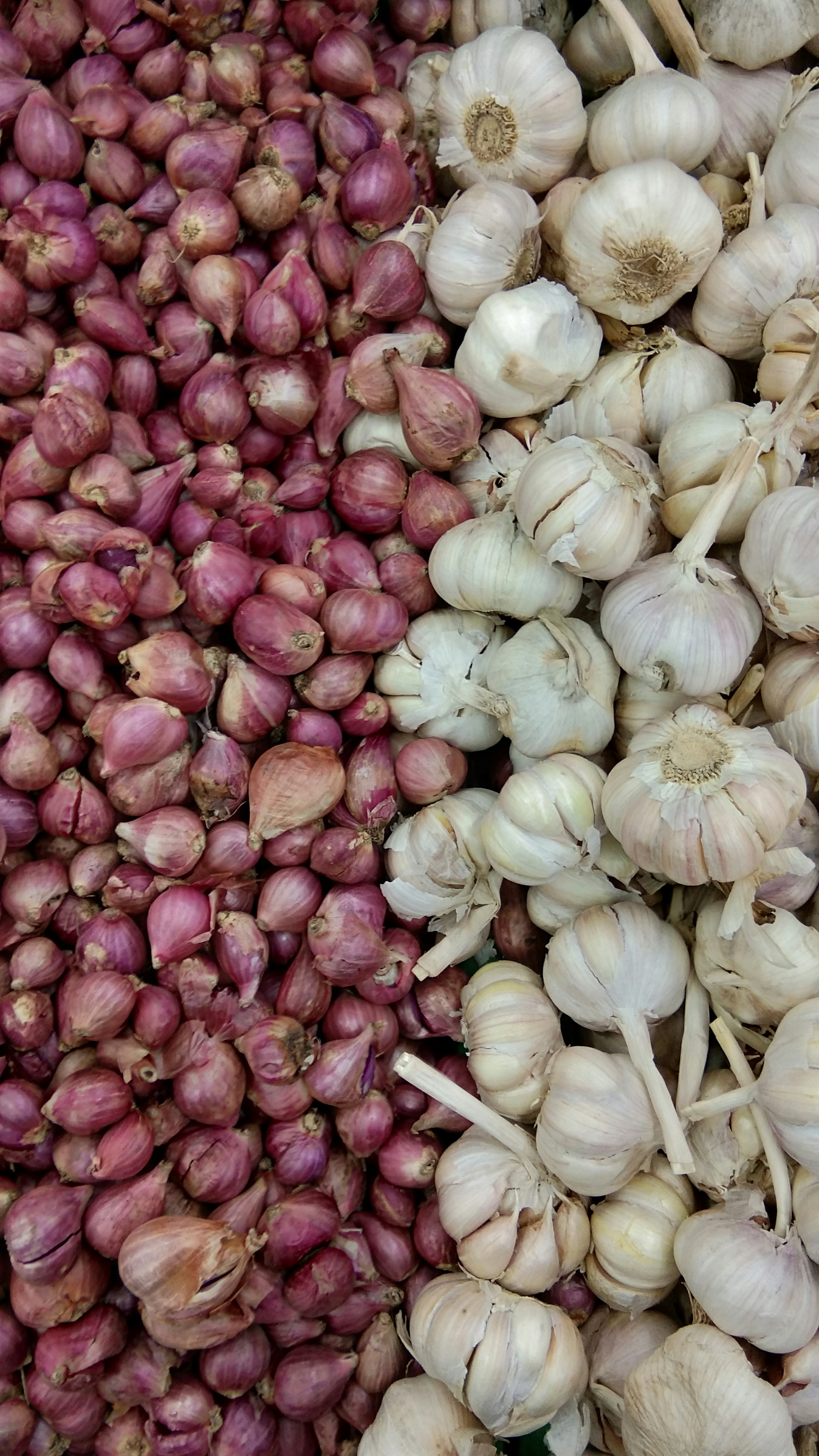 a pile of garlic sitting next to each other