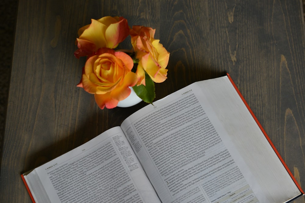 fleurs roses jaunes et oranges à côté d’un livre ouvert