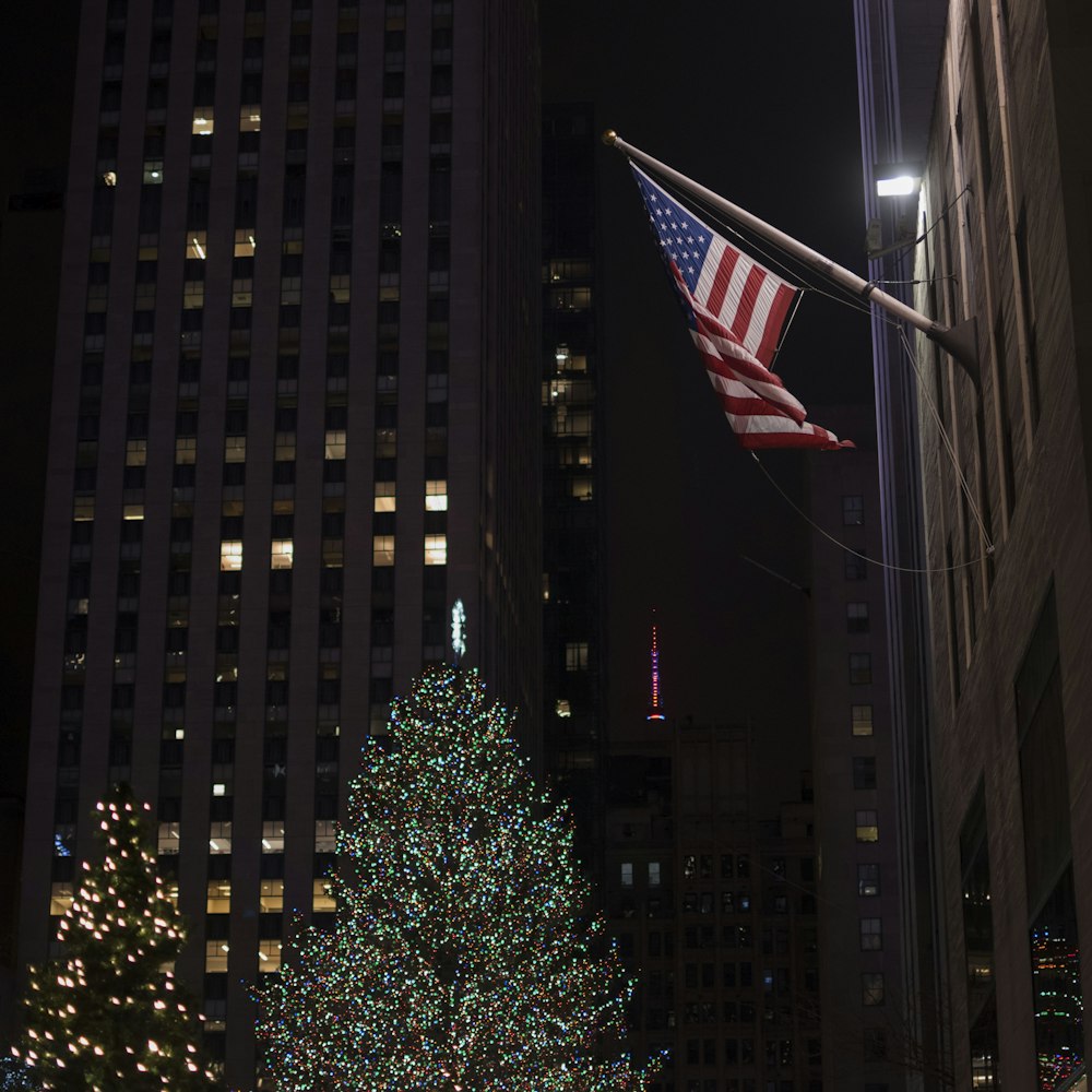 Christmas trees near flag of US