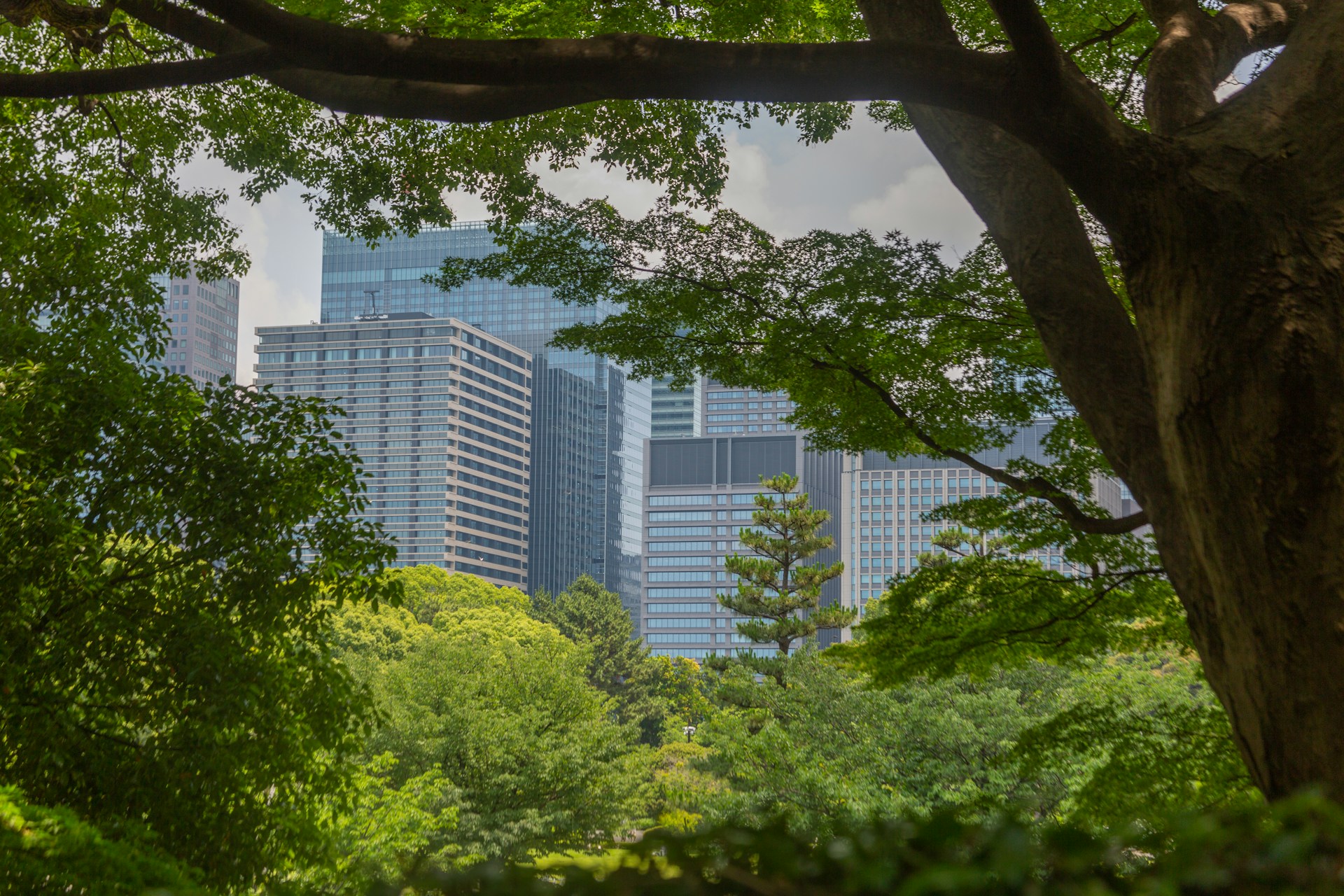 building near trees
