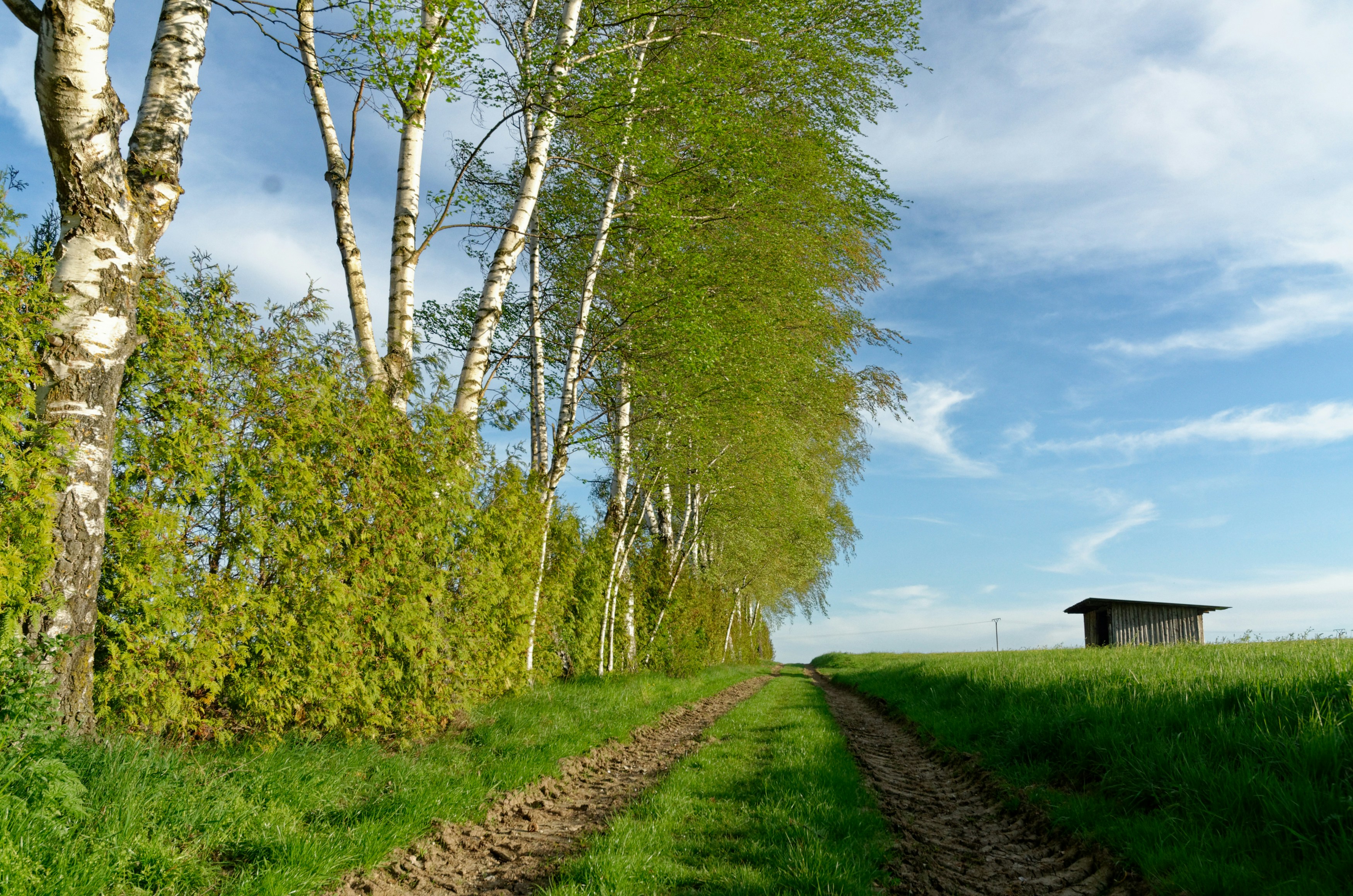 Photo by designbytholen