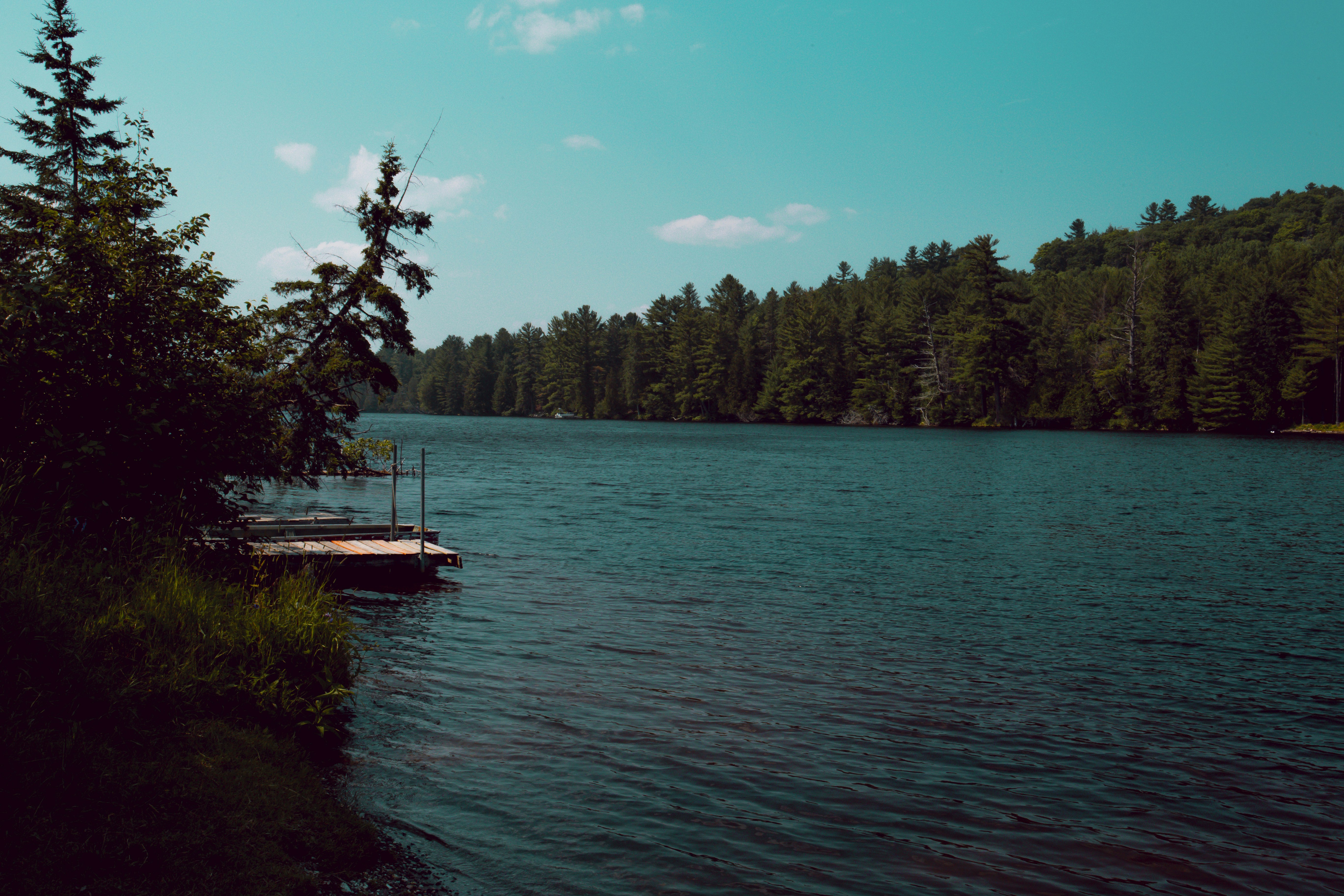 Photo by natashareddy