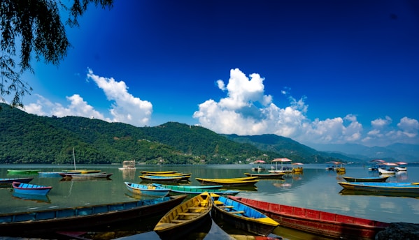 boats on water during daytime at Pokhara